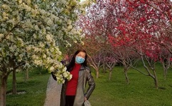 陆贞传奇百度影音